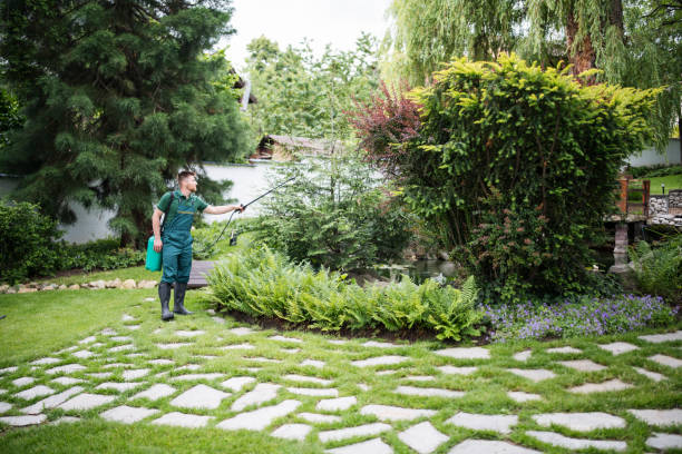 Best Commercial Pest Control Services  in Pumpkin Center, NC