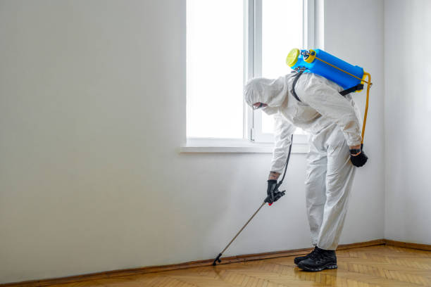 Reliable Pumpkin Center, NC Pest Control Solutions