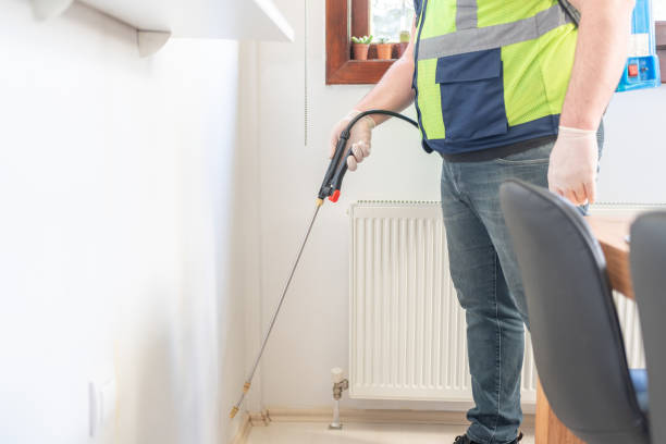 Best Local Pest Control Services  in Pumpkin Center, NC