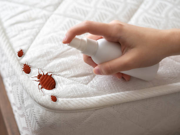 Best Pest Control Near Me in Pumpkin Center, NC