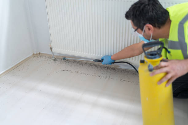 Best Pest Prevention Services  in Pumpkin Center, NC