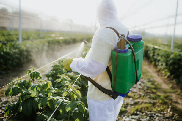 Best Pest Control for Restaurants  in Pumpkin Center, NC